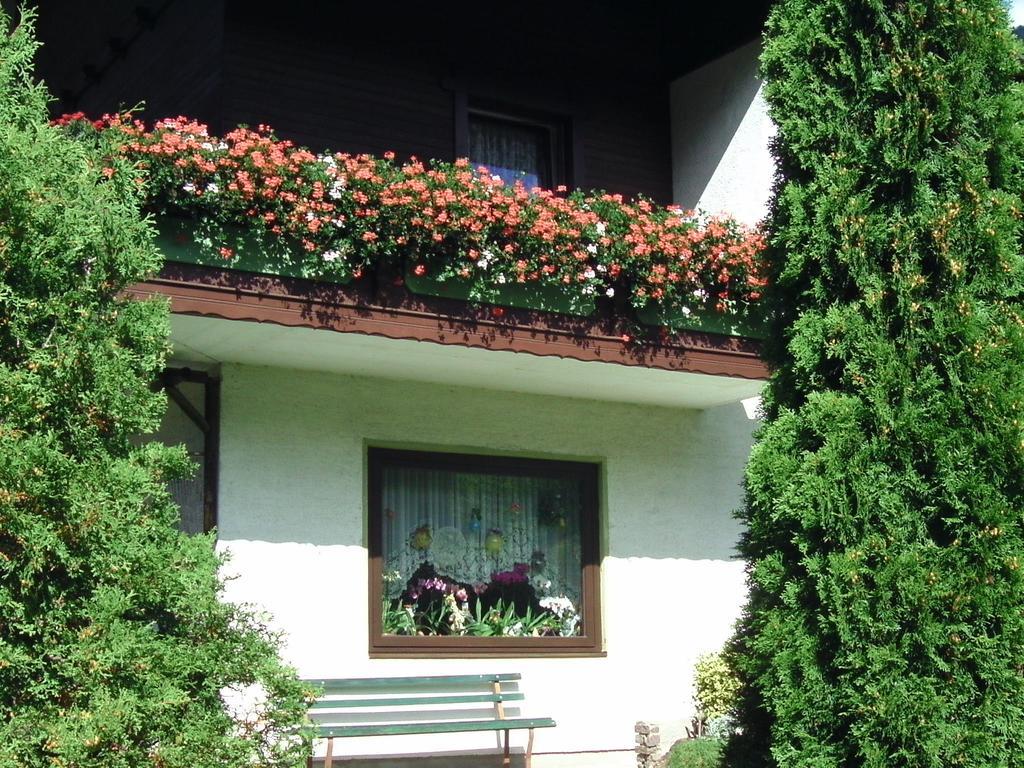 Appartement Ria Bad Kleinkirchheim Extérieur photo